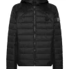Fashion Nylon Puffered Jacket Herren Herren | Jacken